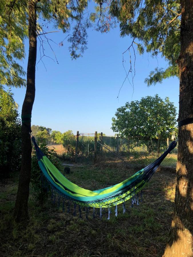 Refugio Rural - Eco Villa Caldas Da Rainha Kültér fotó